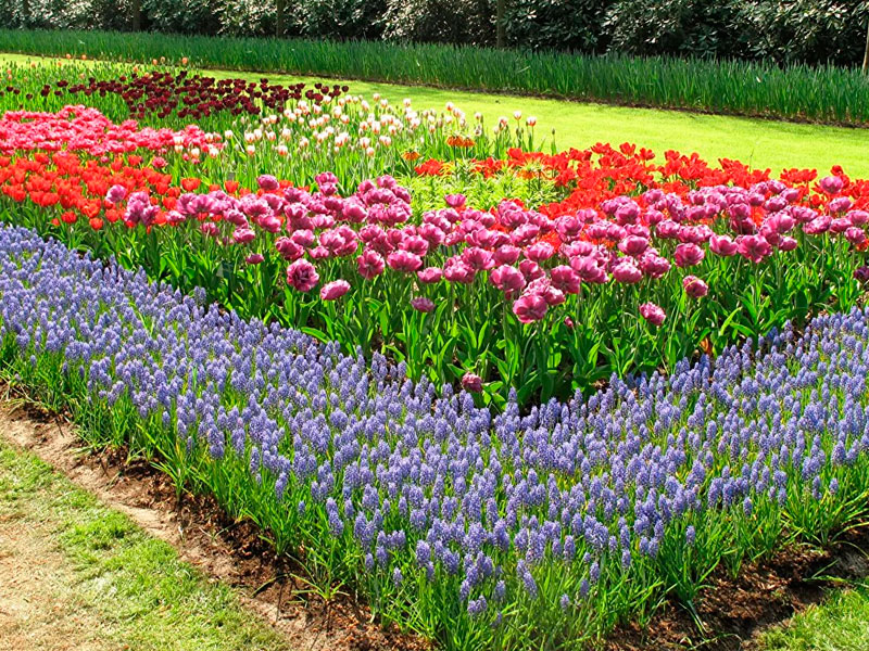 Спецпредложение