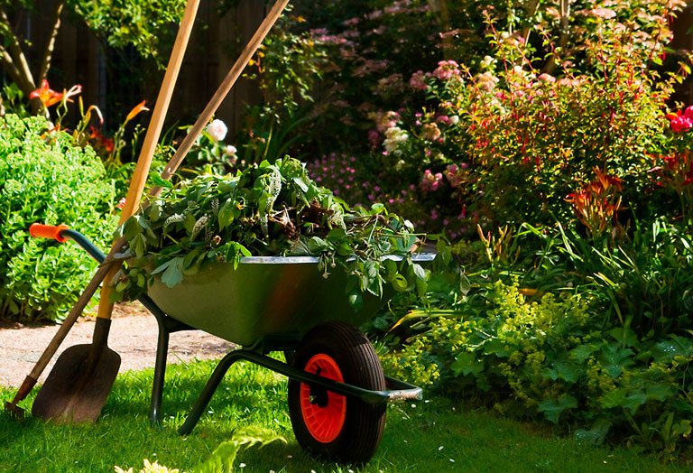 Сервисное обслуживание